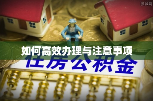衡山如何高效办理与注意事项
