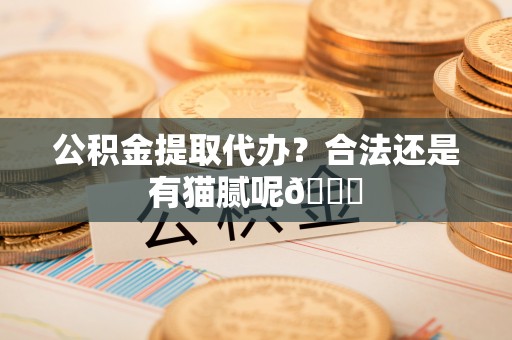 衡山公积金提取代办？合法还是有猫腻呢😏