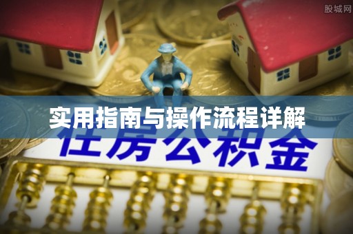 衡山实用指南与操作流程详解