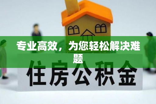 衡山专业高效，为您轻松解决难题